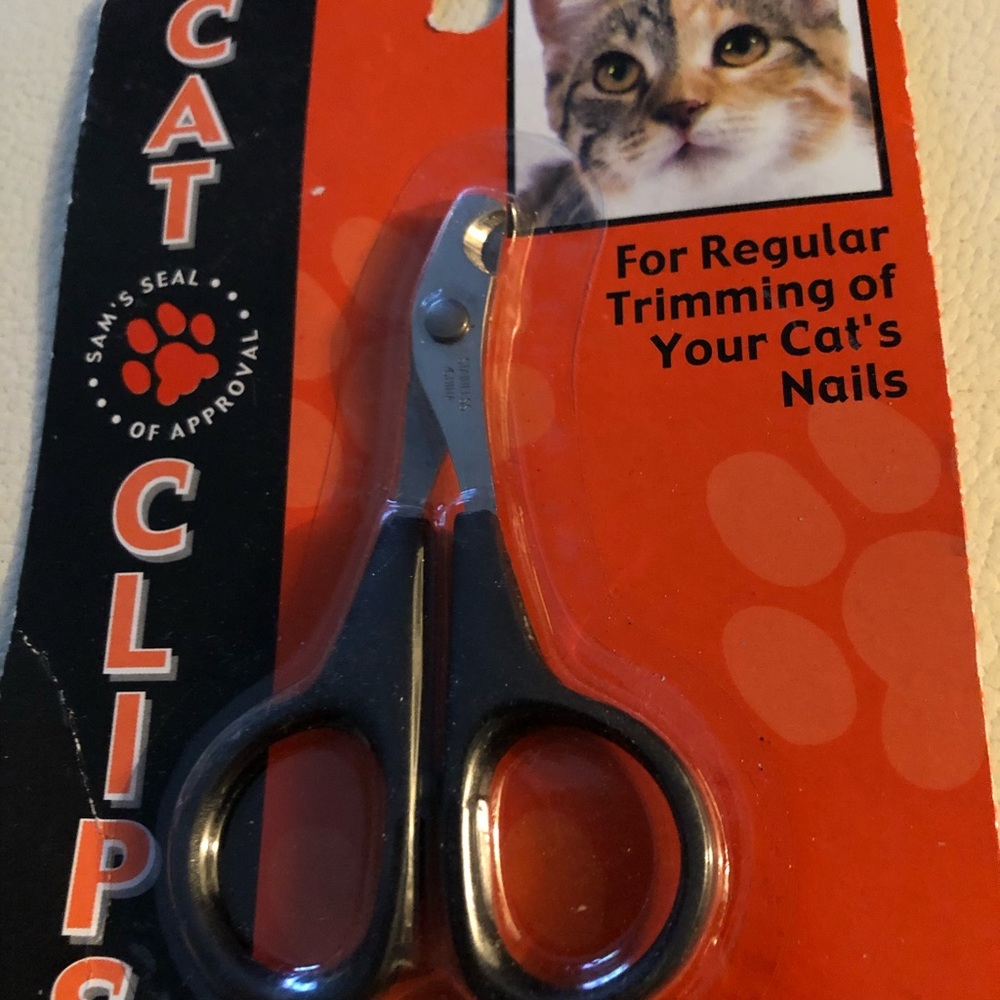 CATS 🐈 - Picture 3 of 5